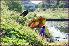대물교주 민물낚시 노지조행기 > 부여인근 수로에서 : 낚시사랑
