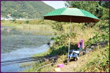 대물교주 민물낚시 노지조행기 > 부여인근 수로에서 : 낚시사랑