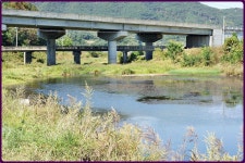 대물교주 민물낚시 노지조행기 > 부여인근 수로에서 : 낚시사랑