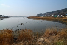 질꾼 민물낚시 노지조행기 > 따뜻한 남쪽으로...... : 낚시사랑