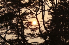 낙엽비 민물낚시 노지조행기 > 『방황의 끝 인평저수지』 : 낚시사랑