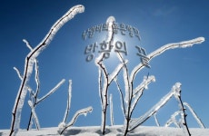 낙엽비 민물낚시 노지조행기 > 『방황의 끝 인평저수지』 : 낚시사랑