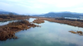태공준 민물낚시 노지조행기 > ◈ 우중에 여주 남한강 강가에서.. ◈ : 낚시사랑