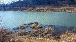 태공준 민물낚시 노지조행기 > ◈ 남한강 양평 둠벙에서 ◈ 양평 붕어낚시 포인트 ◈ : 낚시사랑