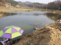 알라뷰 민물낚시 노지조행기 > 논산 소류지에서의 하룻밤 : 낚시사랑