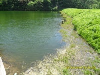 팔묜 민물낚시 노지조행기 > 낚시 댕겨온 이바구 : 낚시사랑