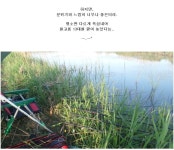 라이트닝 민물낚시 노지조행기 > 무박 3일 전투낚시 : 낚시사랑