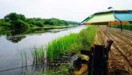 장구라 민물낚시 노지조행기 > 장구라가 간다. : 낚시사랑