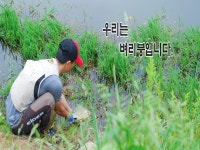 매월아 민물낚시 노지조행기 > 벼리붕 스토리-2 : 낚시사랑