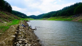 장구라 민물낚시 노지조행기 > 장구라가 간다. : 낚시사랑