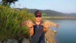 동반자2 민물낚시 노지조행기 > 강화도로의 낚시여행(항포지) : 낚시사랑