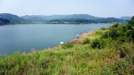 낙엽비 민물낚시 노지조행기 > 『가을의 길목 천태저수지』 : 낚시사랑