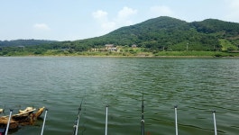 낙엽비 민물낚시 노지조행기 > 『가을의 길목 천태저수지』 : 낚시사랑