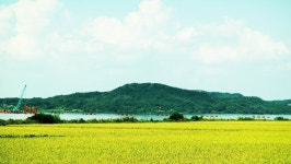 솔바람소리 민물낚시 노지조행기 > 평택호 솔바람소리의 행복한 동행 : 낚시사랑