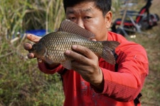 그~네 민물낚시 노지조행기 > 청평 미사리권으로 쨤낚시를 다녀와서... : 낚시사랑