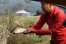 그~네 민물낚시 노지조행기 > 청평 미사리권으로 쨤낚시를 다녀와서... : 낚시사랑