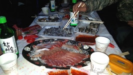 낙엽비 민물낚시 노지조행기 > 『소름 돋는 왕숙천』 : 낚시사랑