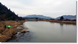 돌감자 민물낚시 노지조행기 > 돌감자의 낚시여행 ~ 머나먼 해남에서 2017년 첫 물낚시 : 낚시사랑