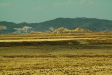 솔바람소리 > 조금 이른시기에 찿은 백석포리 : 낚시사랑