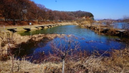 장구라 민물낚시 노지조행기 > 장구라가 간다. : 낚시사랑