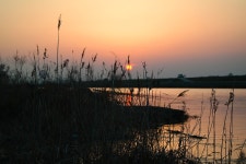 솔바람소리 민물낚시 노지조행기 > 삽교호 수로 행복한 동행 : 낚시사랑