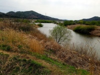 낙엽비 민물낚시 노지조행기 > 『금강 몽상(夢想)』 : 낚시사랑