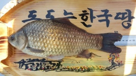 오짜붕어야ㅡ김포 민물낚시 노지조행기 > 오짜붕어야 등장 두둥! : 낚시사랑