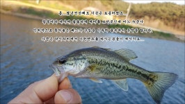 몸짱 아놀드 민물낚시 노지조행기 > 우리는부부조사다!(가~족) : 낚시사랑