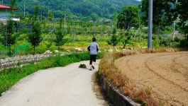 별천지민속품 | 장구라 민물낚시 노지조행기 > 장구라가 간다. : 낚시사랑