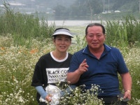 엘비스 민물낚시 노지조행기 > 엘비스 낚시여행기(9)-생극면 관성지 에서~~ : 낚시사랑