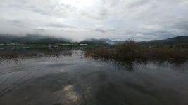 김포공항 민물낚시 노지조행기 > 파로호 용호리 : 낚시사랑