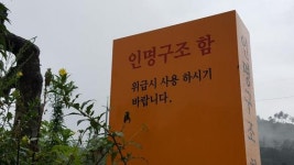 도깨비S 민물낚시 노지조행기 > 역시 빡쎄지... : 낚시사랑