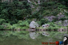 양실장 민물낚시 노지조행기 > 이런 곳에도 붕어가? : 낚시사랑