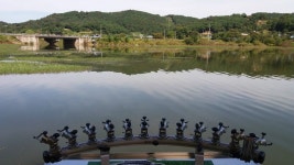 눈이내리내 민물낚시 노지조행기 > 눈이내리내 의 낚시여행 2017 0928-1009 대산수로 행정지 등등 : 낚시사랑