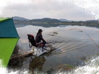 찌발이 민물낚시 노지조행기 > 찌발이의 붕어낚시 여행(남한강 양촌리권, 경북 상주 상주보) : 낚시사랑