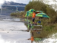 찌발이 민물낚시 노지조행기 > 찌발이의 붕어낚시 여행(남한강 양촌리권, 경북 상주 상주보) : 낚시사랑