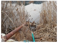 노지마스터 민물낚시 노지조행기 > 겨울낚시~~ : 낚시사랑