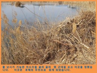 스테고사우르스 민물낚시 노지조행기 > 금호읍 소류지 : 낚시사랑