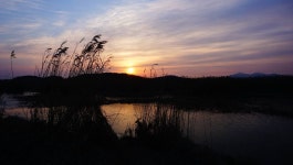 장구라 민물낚시 노지조행기 > 장구라가 간다. : 낚시사랑