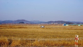 장구라 민물낚시 노지조행기 > 장구라가 간다. : 낚시사랑