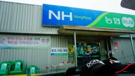 장구라 민물낚시 노지조행기 > 장구라가 간다. : 낚시사랑
