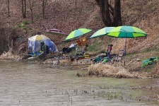 포도월척13 민물낚시 노지조행기 > 점점 좁아지는 우리의놀이터 : 낚시사랑