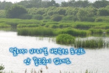 쩐프로(붕어놀이터) 민물낚시 노지조행기 > 백곡천수로 1박2일 낚시힐링 : 낚시사랑