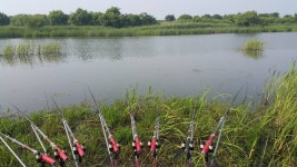 쩐프로(붕어놀이터) 민물낚시 노지조행기 > 백곡천수로 1박2일 낚시힐링 : 낚시사랑