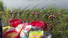 쩐프로(붕어놀이터) 민물낚시 노지조행기 > 백곡천수로 1박2일 낚시힐링 : 낚시사랑