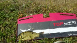 쩐프로(붕어놀이터) 민물낚시 노지조행기 > 백곡천수로 1박2일 낚시힐링 : 낚시사랑