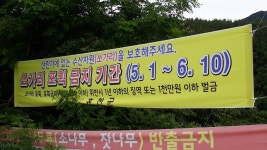 별바라기™ 민물낚시 노지조행기 > 홍천강 : 낚시사랑