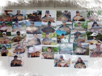 월척수배 민물낚시 노지조행기 > 월척수배(찌발이)의 붕어낚시 여행(81편) : 낚시사랑