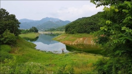 몸짱 아놀드 민물낚시 노지조행기 > 우리는 부부조사다! (네버엔딩 스토리) : 낚시사랑