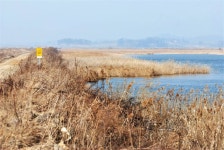 쩐프로(붕어놀이터) 민물낚시 노지조행기 > 19년 부남호 첫 물낚시여행 시작합니다 : 낚시사랑